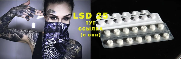 дурь Дубна