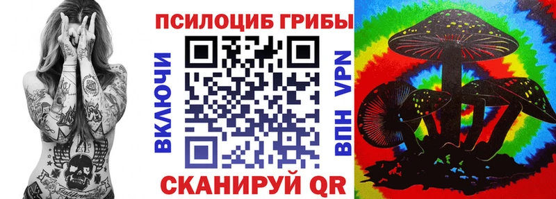 Галлюциногенные грибы мицелий  darknet какой сайт  Вытегра  наркотики 